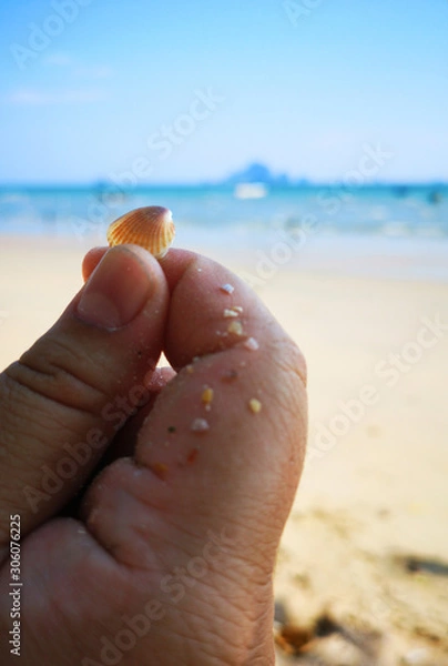Obraz mini shell on the beach
