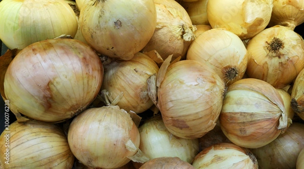 Fototapeta the onion in the box