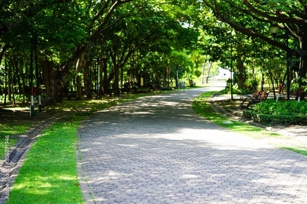 Fototapeta path in the park