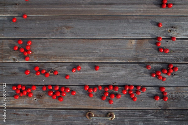 Fototapeta Red sweet hawthorn berries scattered on a smoky wooden background for Christmas greetings or for Valentine's Day.