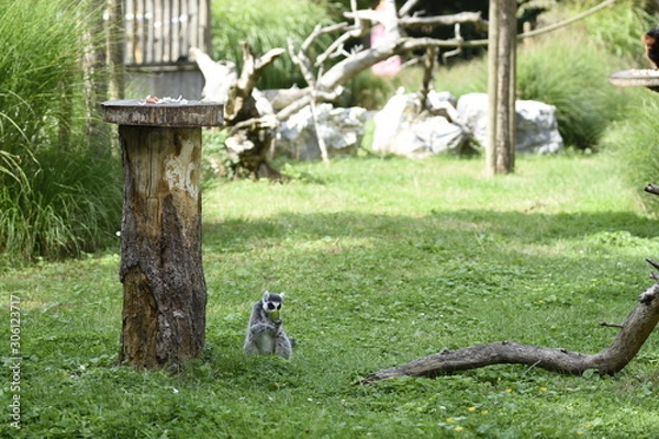 Fototapeta hum c'est bon ça
