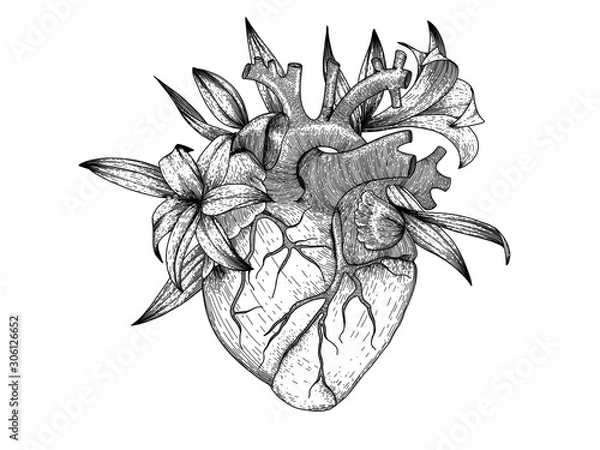 Fototapeta Vector realistic heart with lily flowers . Anatomy human organ image for t-shirt print