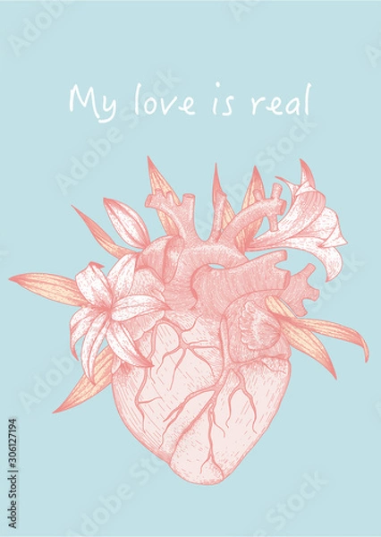Fototapeta Vector illustration of anatomy heart and lily flowers with phrase My love is real for greeting cards design for valentines day