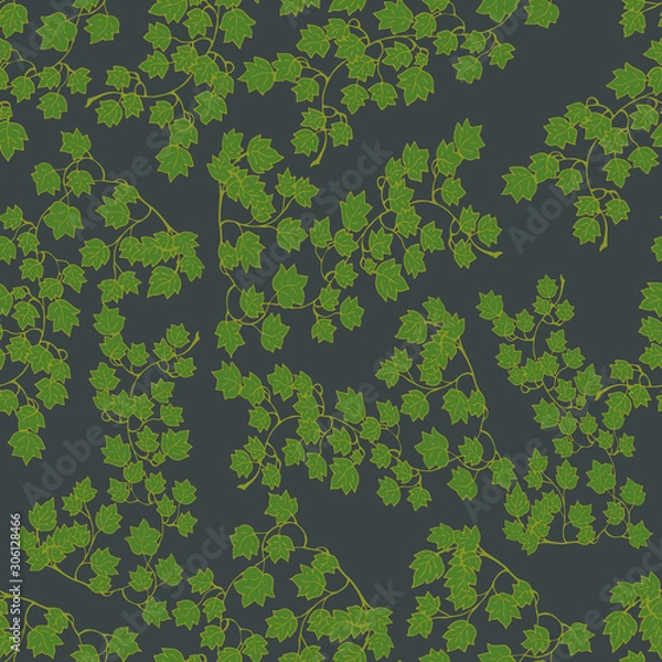 Fototapeta Seamless pattern. Hanging branches of ivy on a black background. Vector illustration.