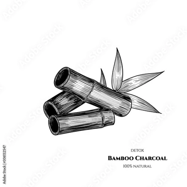 Fototapeta Vector bamboo charcoal. Hand drawn. Vintage style