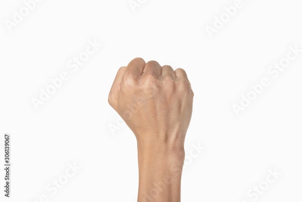 Obraz hand gesture. make a fist back view