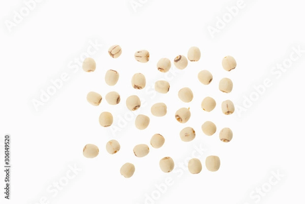 Obraz lotus seeds on white background