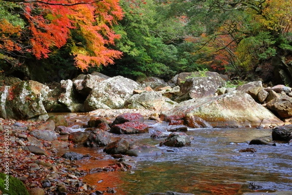Fototapeta 黒尊川を彩る紅葉(高知県四万十市　黒尊渓谷）