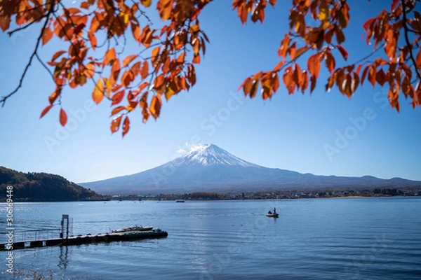 Obraz もみじと富士山in河口湖