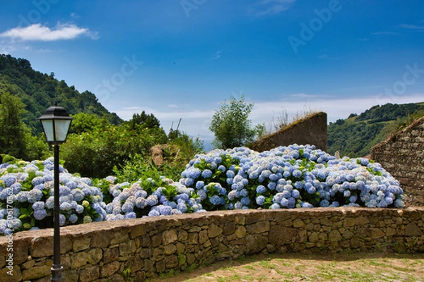 Obraz Azores Vacation