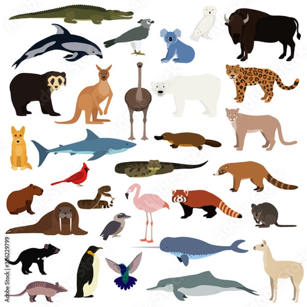 Fototapeta Big animal collection. Vector set of wild animals and birds. Stock illustration isolated on white background.