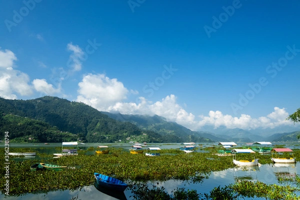 Fototapeta View of Lake Feva (Phewa Lake, Phewa Tal) in Pokhara (Nepal) on the catamarans standing in the green grass and the opposite shore with white clouds above it.