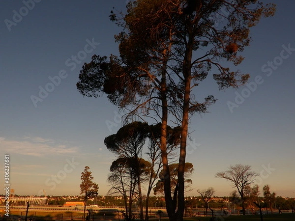 Obraz Atardecer en el parque