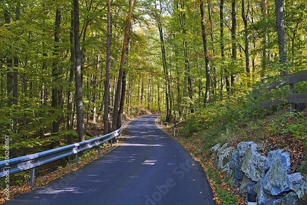 Fototapeta Street in a forest near Graz during autumn