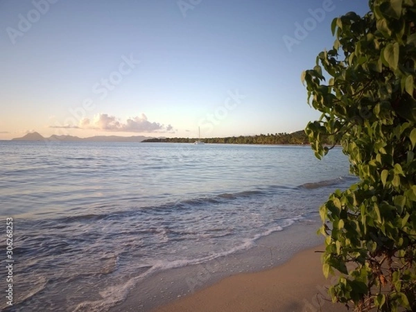 Obraz beach at sunset