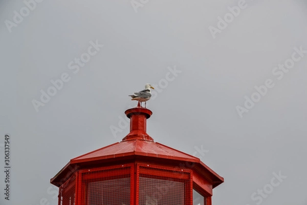 Fototapeta A grey and white seagull with a yellow beak stands on top of a red lighthouse looking out across harbour on a dark and cloudy day.