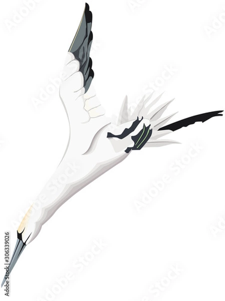 Fototapeta Impression