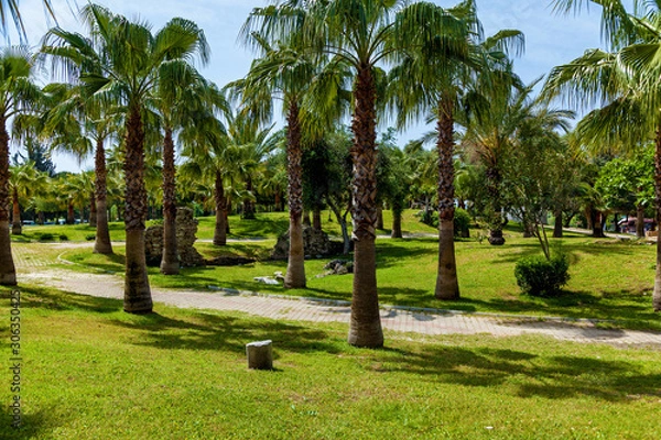 Obraz Green Park in Side Turkey