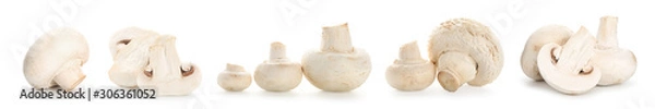 Fototapeta Fresh champignon mushrooms on white background