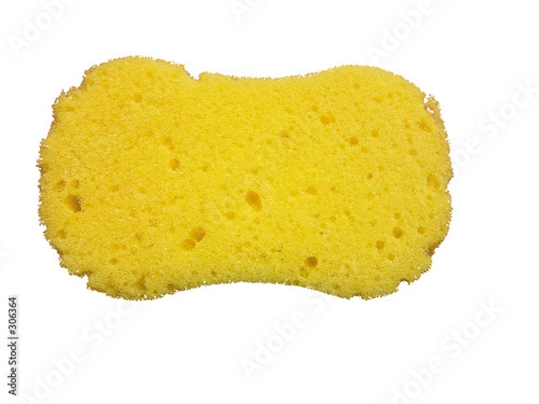 Obraz sponge 2