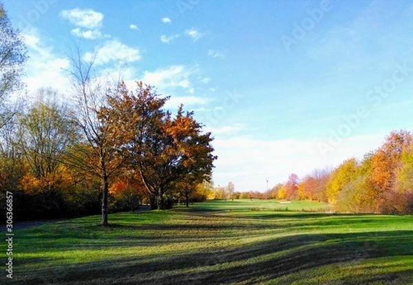 Obraz autumn in the park