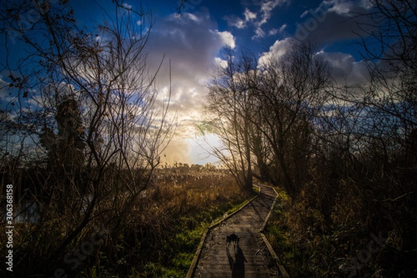 Obraz Sunset river walk