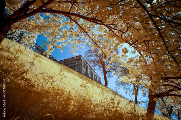 Obraz Norwich Castle Museum