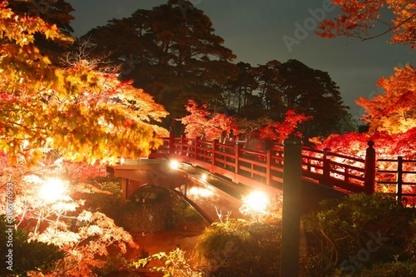 Fototapeta 秋のもみじ谷の紅葉