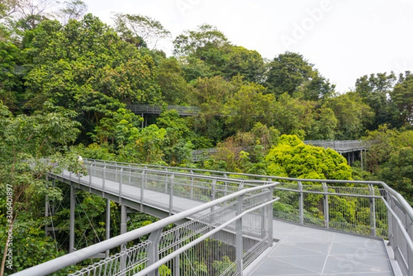 Fototapeta Wipfelpfad