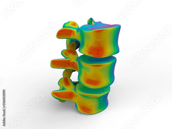 Obraz 3D rendering - rainbow colored human spine