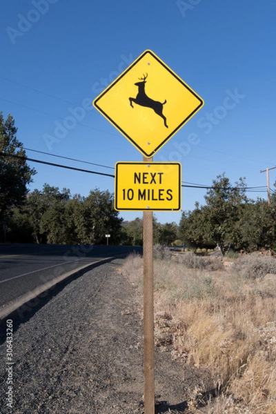 Fototapeta Animals at Large