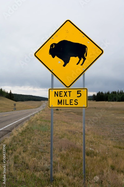 Fototapeta Animals at Large