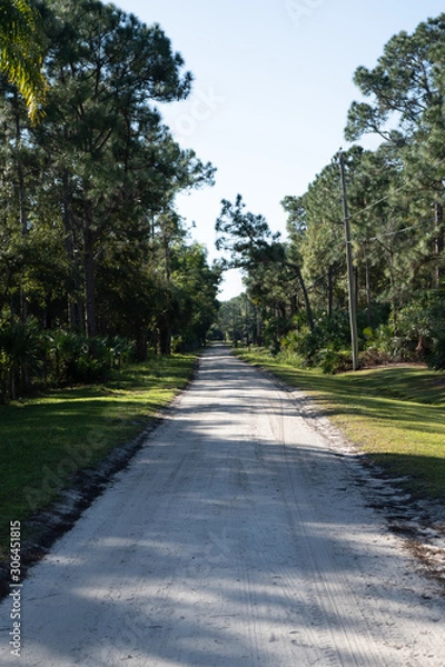 Obraz Long Dirt Road