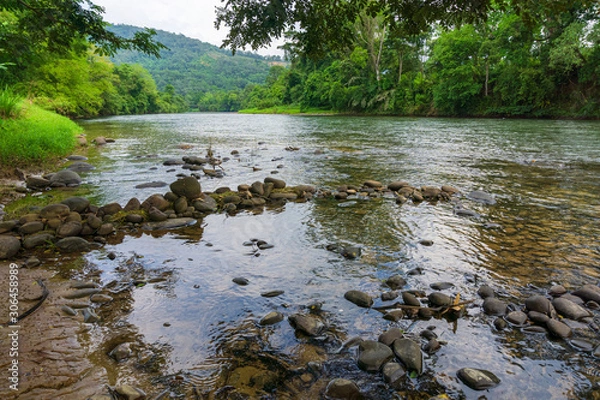 Fototapeta view of river and tropical rainforest in Borneo