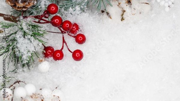 Obraz Festive winter flat lay. Snow, cones and branches of a green Christmas tree on a white background