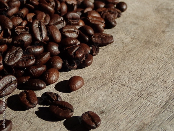 Fototapeta OLYMPUS DIGITAL CAMERA