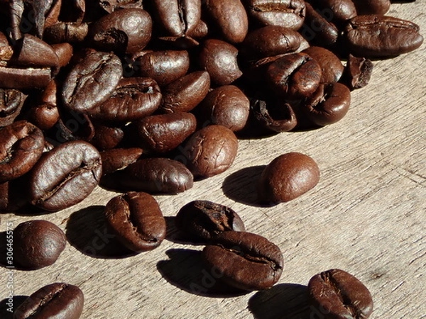 Fototapeta OLYMPUS DIGITAL CAMERA