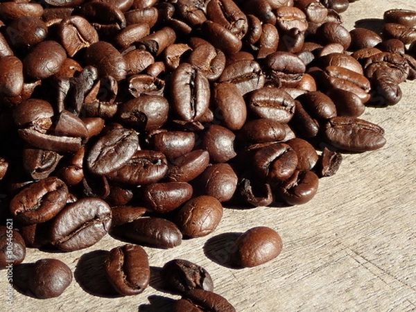 Fototapeta OLYMPUS DIGITAL CAMERA