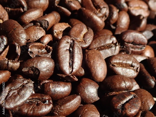 Fototapeta OLYMPUS DIGITAL CAMERA