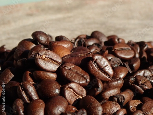 Fototapeta OLYMPUS DIGITAL CAMERA