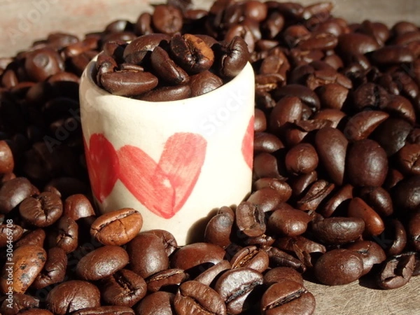 Fototapeta OLYMPUS DIGITAL CAMERA