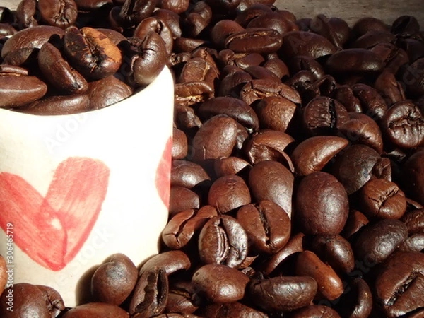 Fototapeta OLYMPUS DIGITAL CAMERA