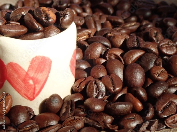 Fototapeta OLYMPUS DIGITAL CAMERA