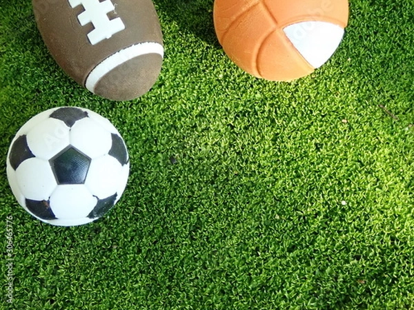 Fototapeta OLYMPUS DIGITAL CAMERA