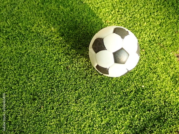 Fototapeta OLYMPUS DIGITAL CAMERA