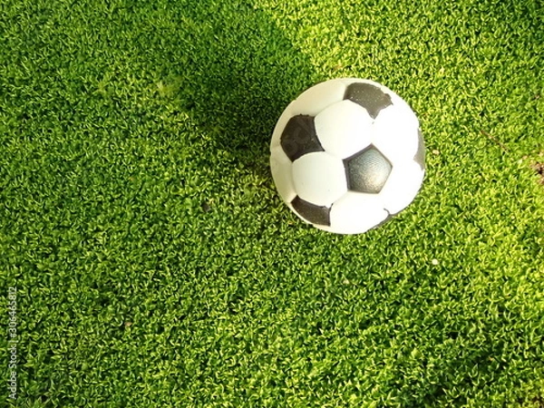 Fototapeta OLYMPUS DIGITAL CAMERA