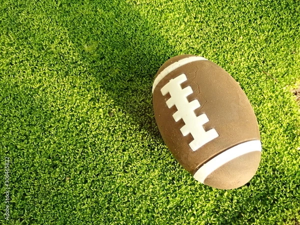 Fototapeta OLYMPUS DIGITAL CAMERA