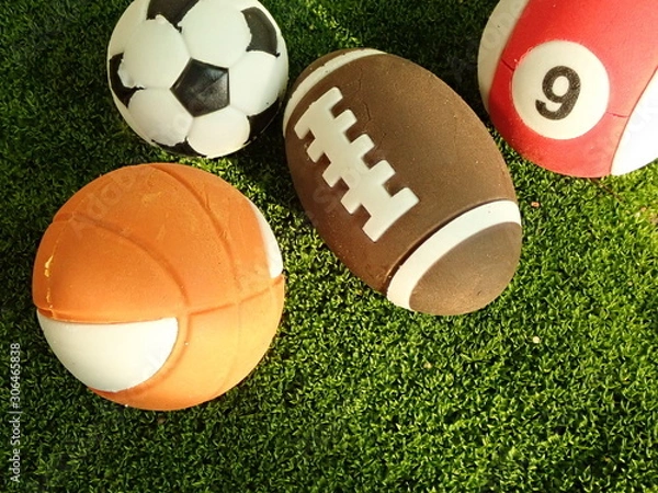 Fototapeta OLYMPUS DIGITAL CAMERA