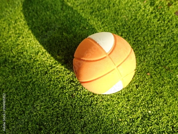 Fototapeta OLYMPUS DIGITAL CAMERA