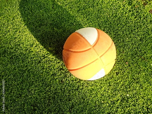 Fototapeta OLYMPUS DIGITAL CAMERA